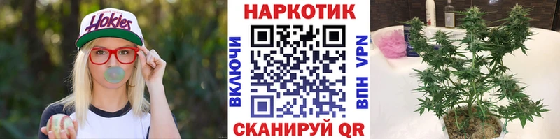 Где найти наркотики Моздок Конопля  МЕФ  Псилоцибиновые грибы  Гашиш  Cocaine 