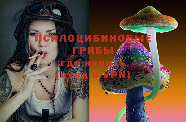 прущие грибы Арсеньев