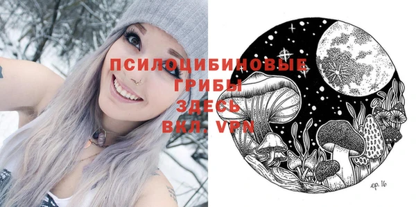 ECSTASY Алексин