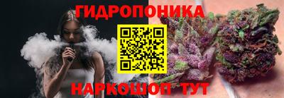 хмурый Гусь-Хрустальный