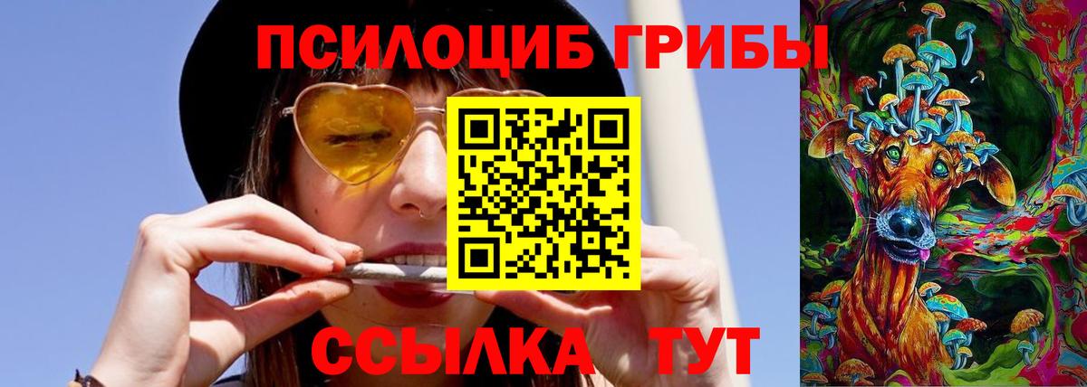 Галлюциногенные грибы Cubensis  Вход с VPN  Моздок 